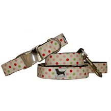  LARGE DOG COLLAR WITH LEAD in Bette