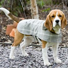 TWEED DOG COAT in Slate Tweed Design