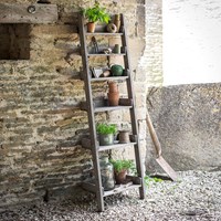 Garden Trading Aldsworth Narrow Wooden Ladder Shelf
