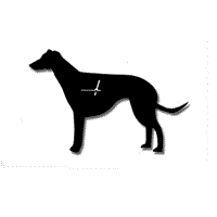 Wagging Tail Dog Clock in Greyhound