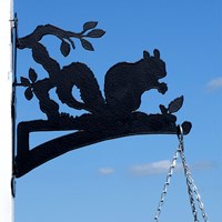 Hanging Basket Bracket in Squirrel Design 
