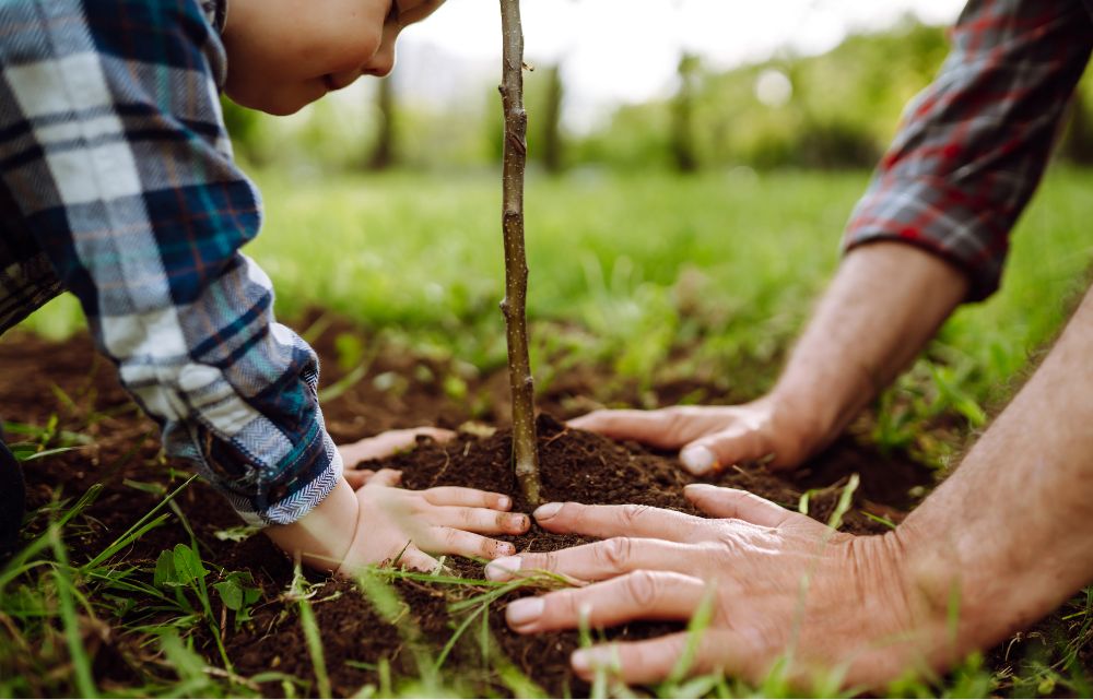 Plant tree banner