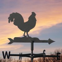 The Ultimate Weathervanes Guide
