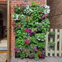 Grow Up with Our Best Vertical Planters
