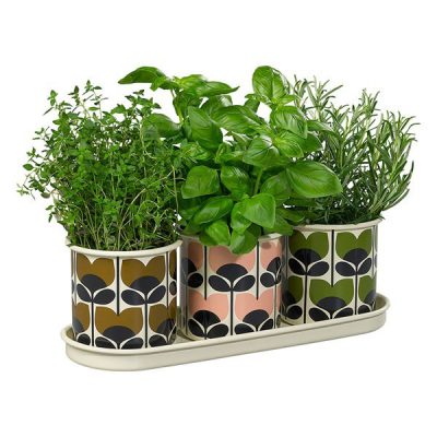 Orla-Kiely-Set-of-3-Herb-Pots-with-Tray