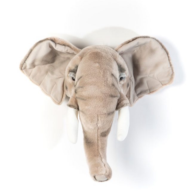 Wild & Soft Elephant Head