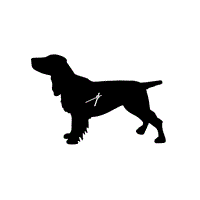 Product photograph of Wagging Tail Dog Clock In Spaniel from Cuckooland