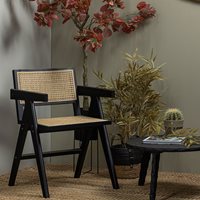 Product photograph of Woood Gunn Dining Chair - Black from Cuckooland