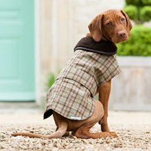 TWEED DOG COAT in Balmoral Check - Pet Clothes & Fashion | Cuckooland