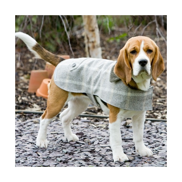 TWEED DOG COAT in Slate Tweed Design