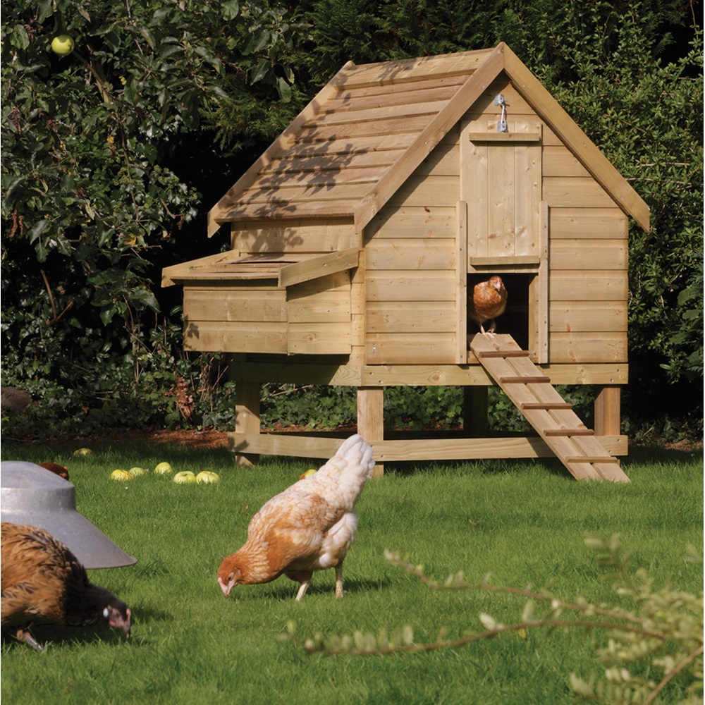 Holz zum Bau eines Hühnerstalls - Large OutDoor Chicken Coop