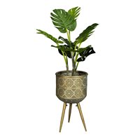 Product photograph of Dutchbone Botanique Plant Stand - Large from Cuckooland