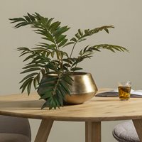 Product photograph of Woood Ezio Brass Bowl - Extra Large from Cuckooland