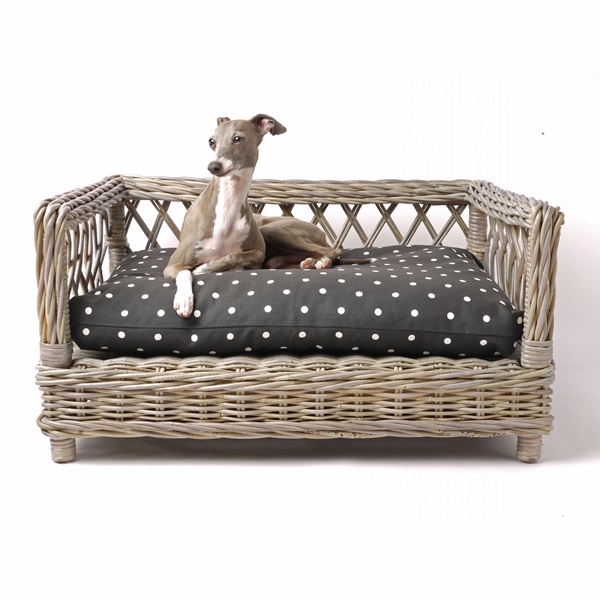 RAISED RATTAN DOG BED with Dotty Charcoal Mattress