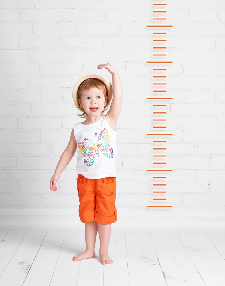 The Ultimate Guide to Toddler Beds – image 2