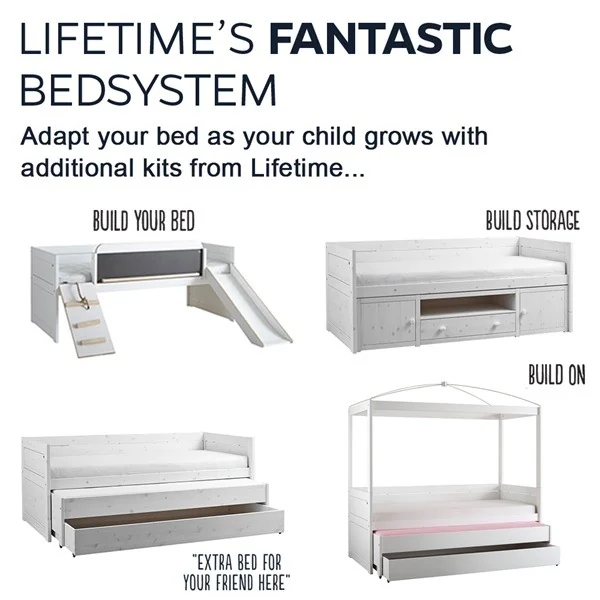 Lifetime play learn sleep adapt