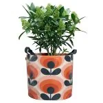Persimmon orange oval flower plant bag