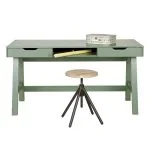 Nikki green desk