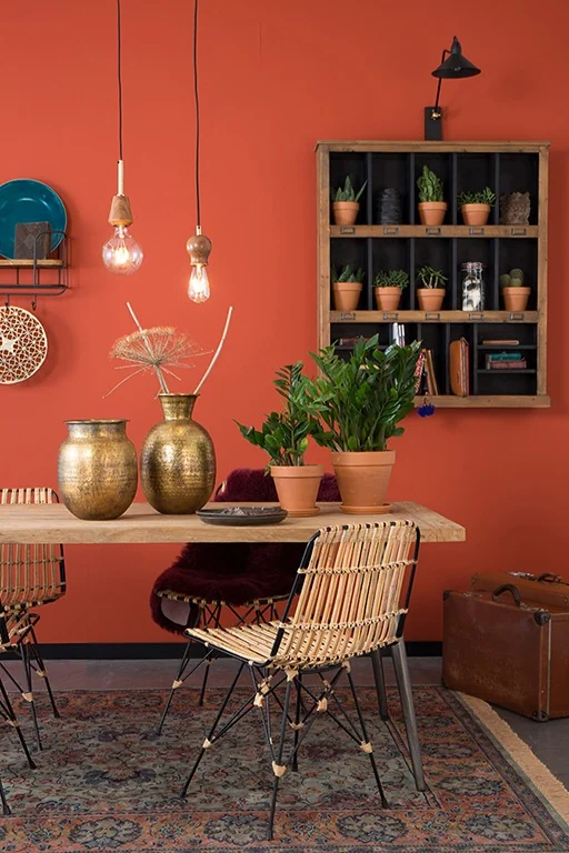 Terracotta walls dutchbone
