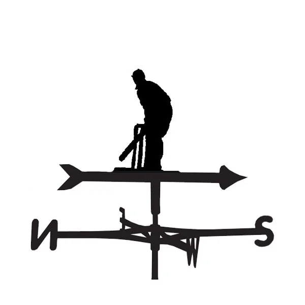 Cricket sport hobbies weathervane