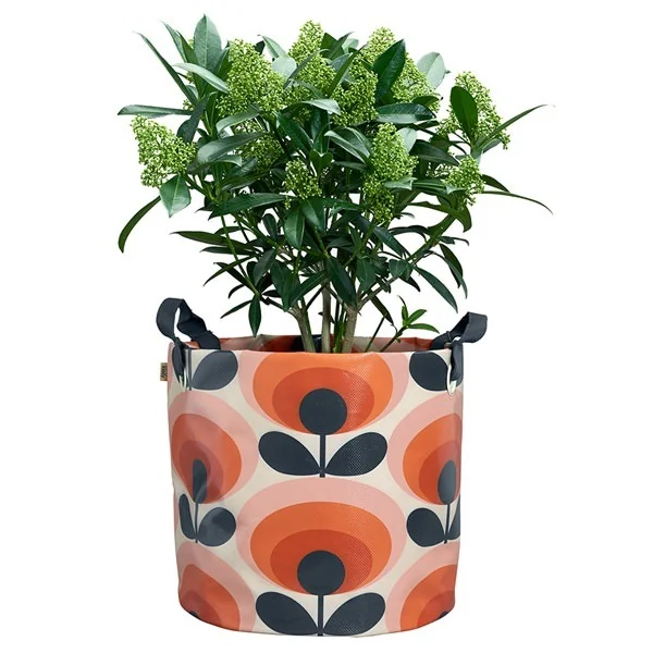 Persimmon orange oval flower plant bag 1