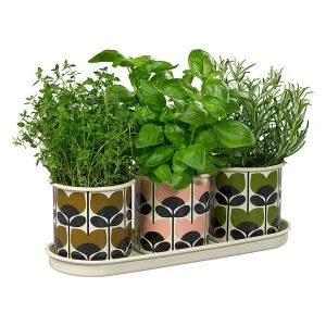 Orla kiely set of 3 herb pots with tray