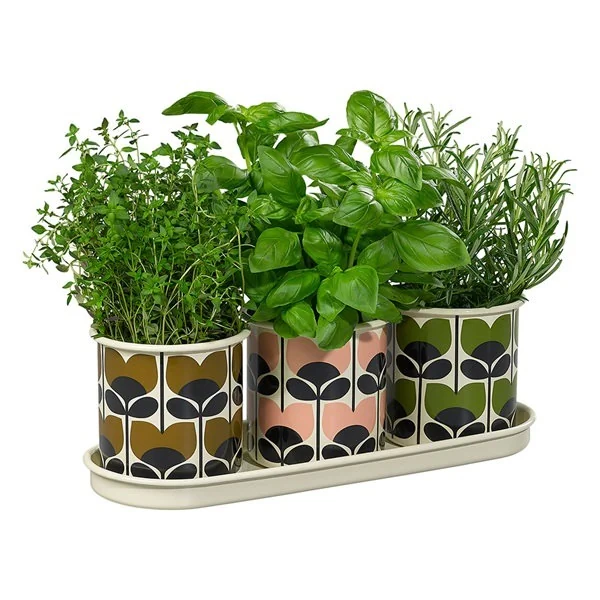 Orla kiely set of 3 herb pots with tray