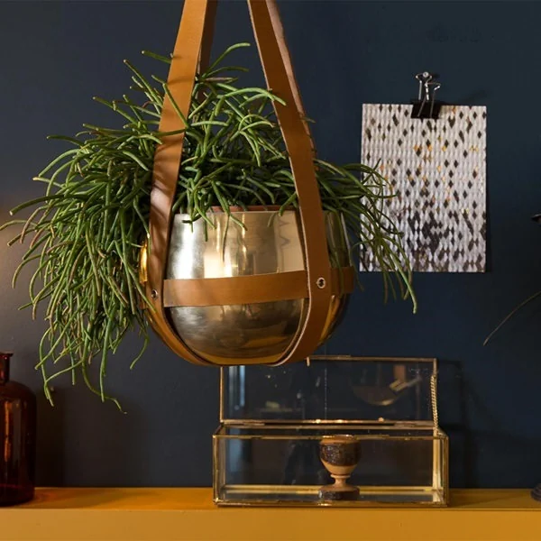 Brass-and-Leather-Plant-Hanger