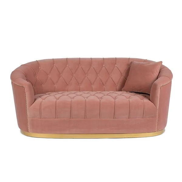 Bold Monkey Too Pretty To Sit On Sofa