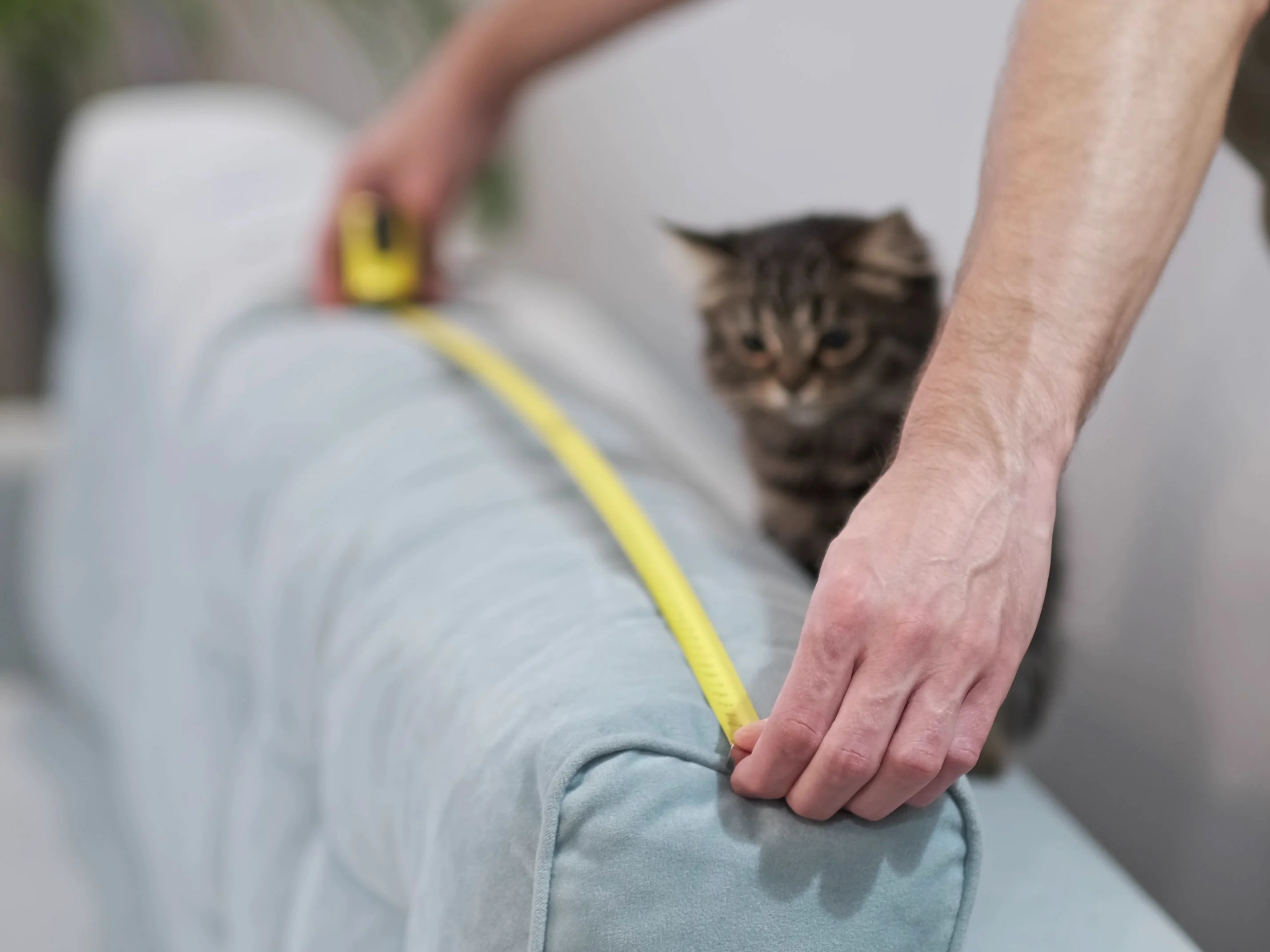 Person uses building meter to measure sofa mo 02 21 14 04 55 utc