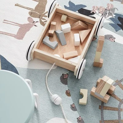 Pull along toy for kids with building blocks set
