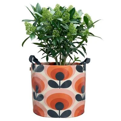 Large-Persimmon-Orange-Oval-Flower- Plant-Bag-1