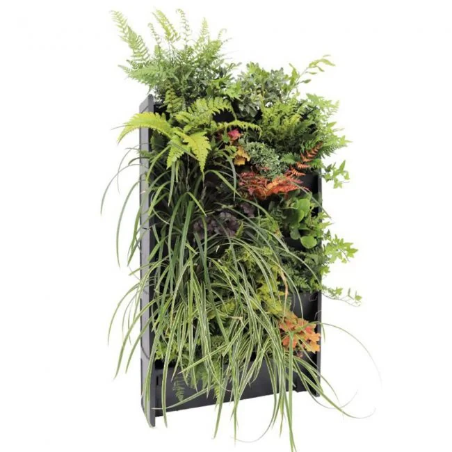 Living-Plant-Wall-Self-Watering