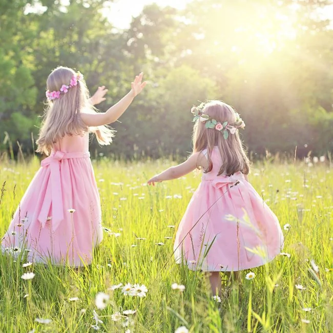 summer-4318824_1920