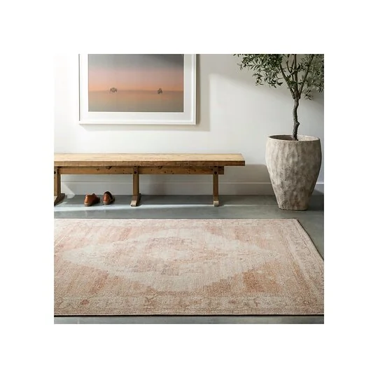 Livabliss Luca Vintage Distressed Rug Brown Polyester