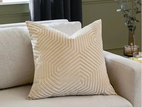 Paoletti Evoke 45 x 45cm Polyester Filled Velvet Cushion