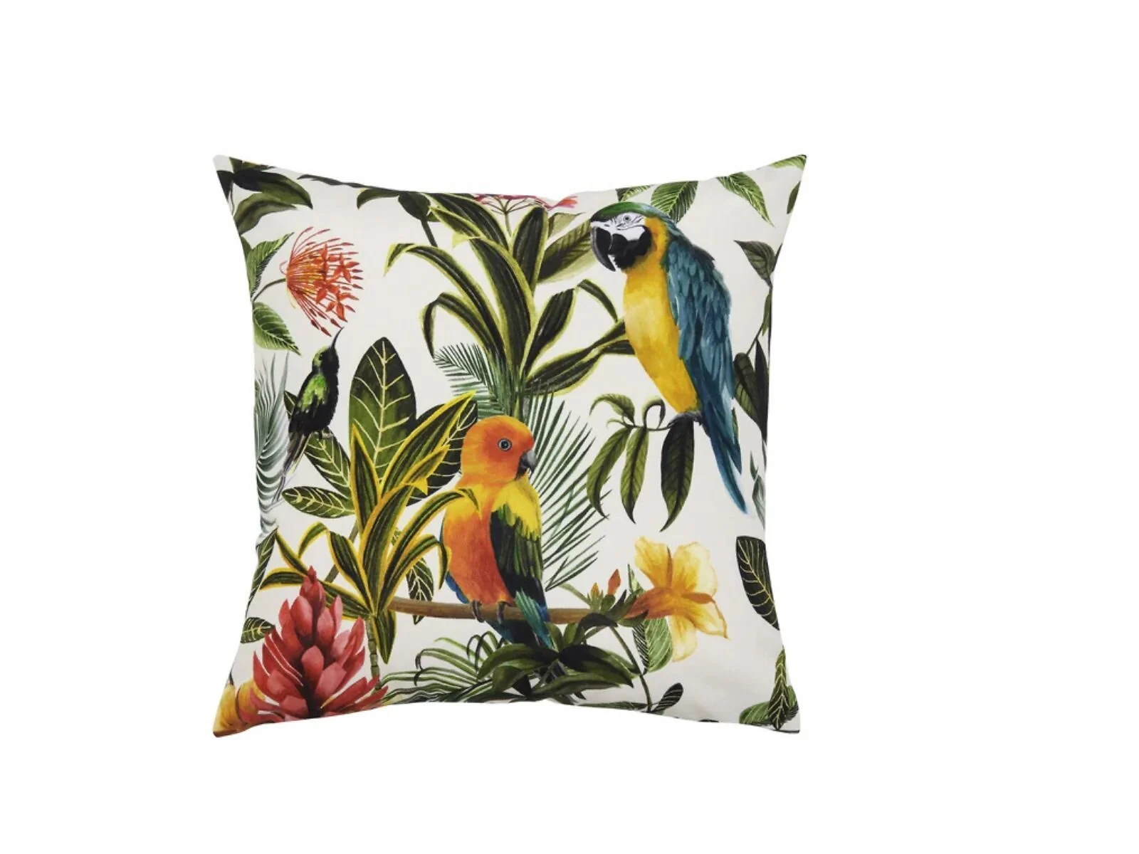 Evans Lichfield Parrots multi and teal outdoor cushion with tropical floral design